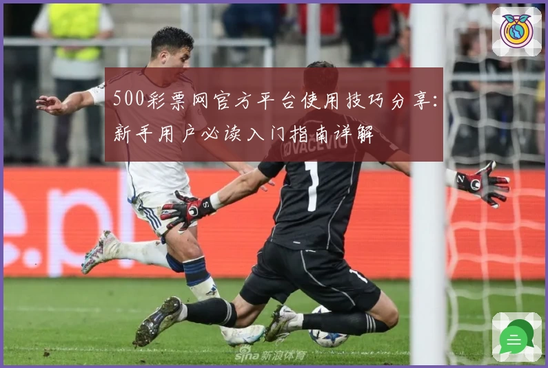500彩票网官方平台使用技巧分享：新手用户必读入门指南详解